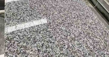 益阳 芙蓉白光面