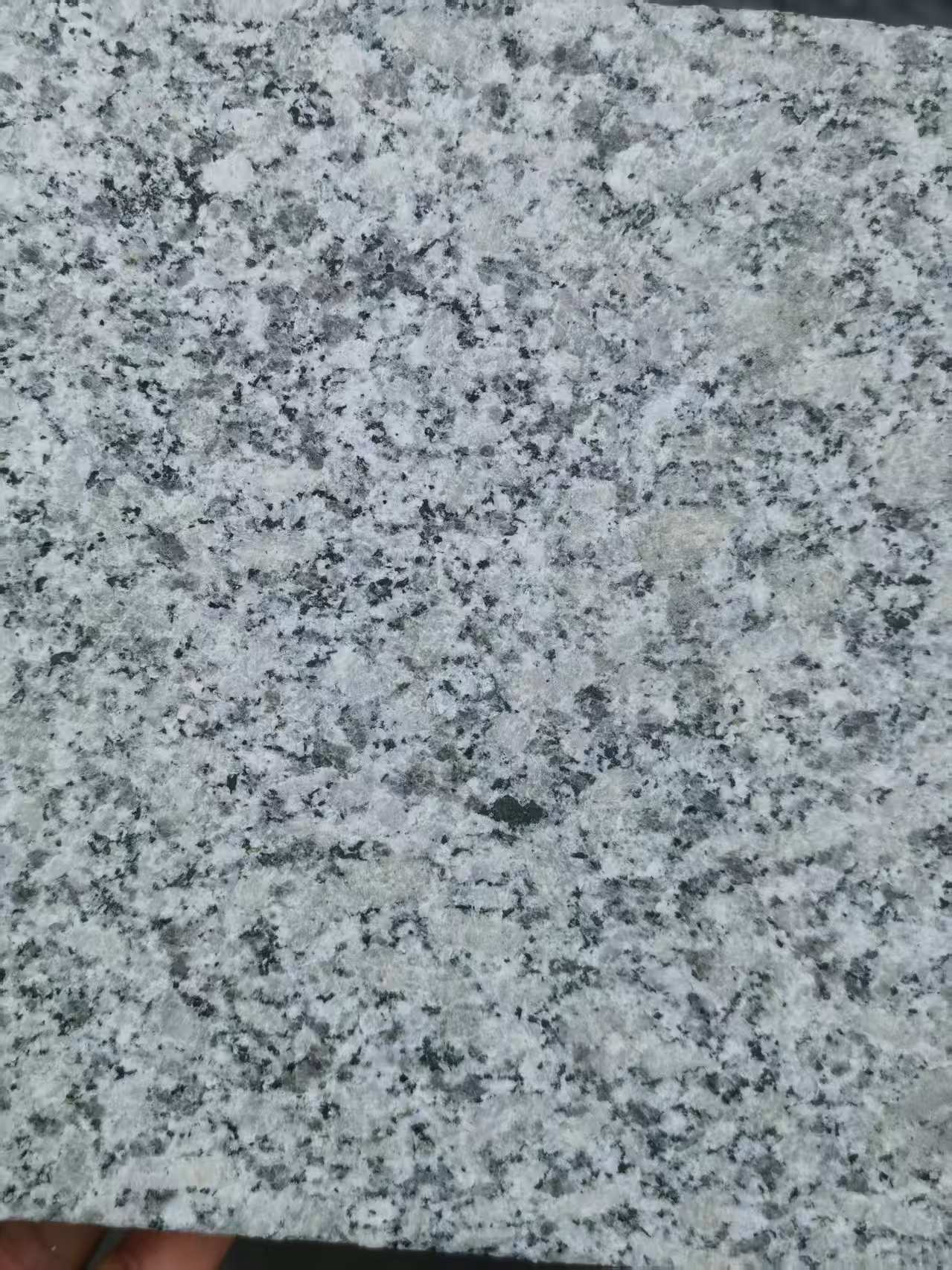 益阳 芙蓉白火烧面