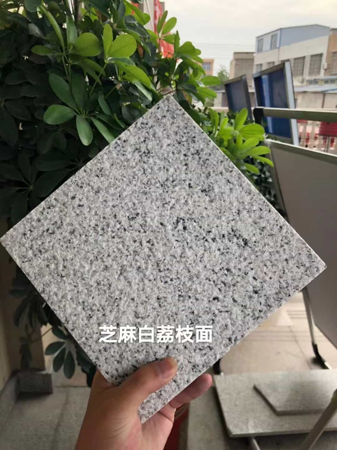 益阳 芝麻白荔枝面干挂