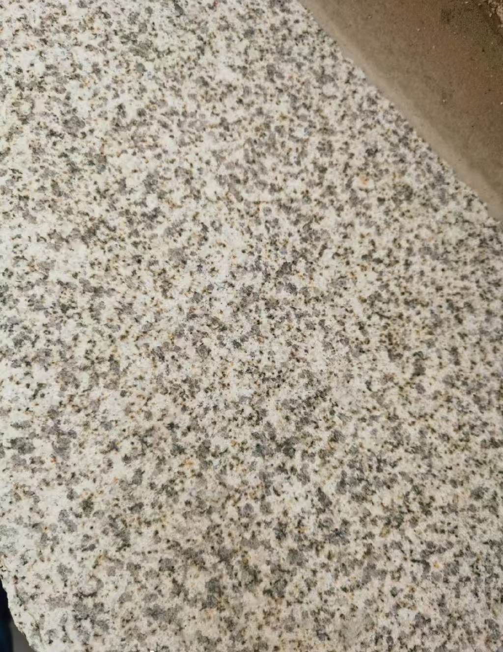 益阳 黄金麻中黄光面